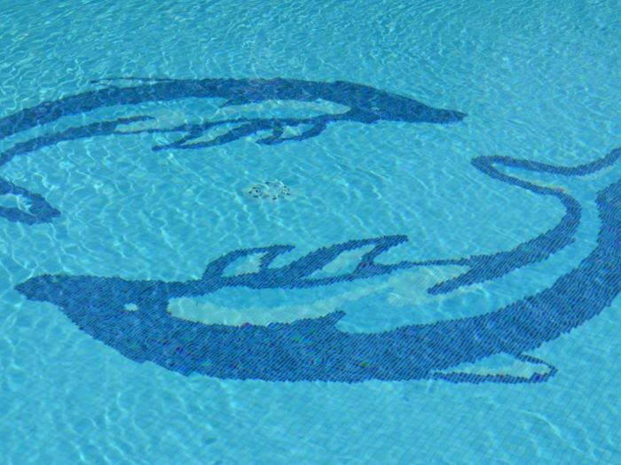 Archisio - Soldi Piscine - Progetto Piscine mosaico e sfioro