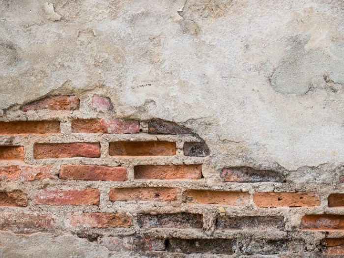 Archisio - Cesaro Alberto Intonaci - Progetto Cicli risananti per restauri