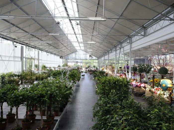 Archisio - Piante Macri - Progetto Il garden