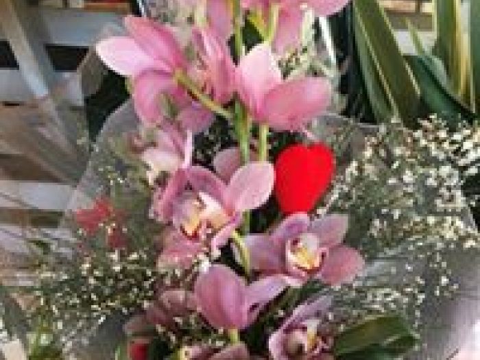 Archisio - Vivai Flli Zanella Srl Antica Sede - Progetto Composizioni floreali