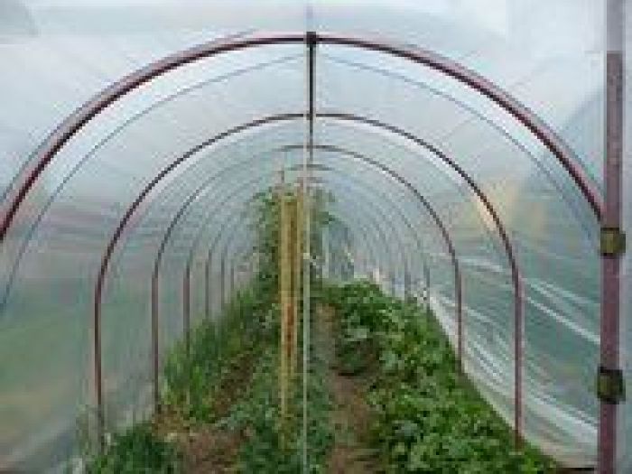 Archisio - Wood Piscine - Progetto Realizzazione serre