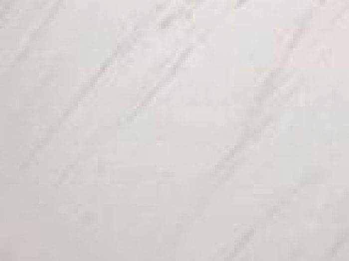 Archisio - Asp Artistica - Progetto Marmo di carrara