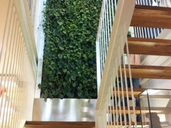 Archisio - Dotto Francesco Consulting Green - Progetto Verde verticale interno casa