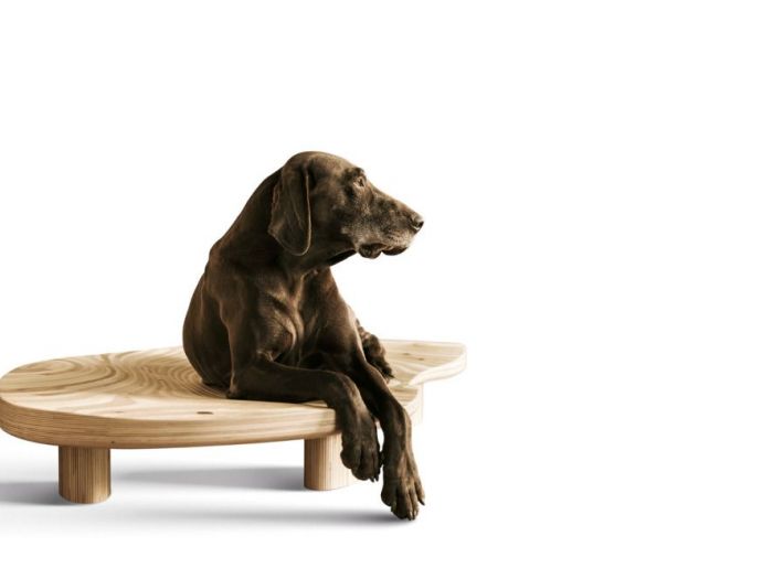 Archisio - Brandodesign - Progetto Il lettino dune