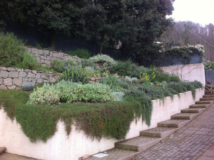 Archisio - Virginio Melaranci - Progetto Sospesi sulla natura