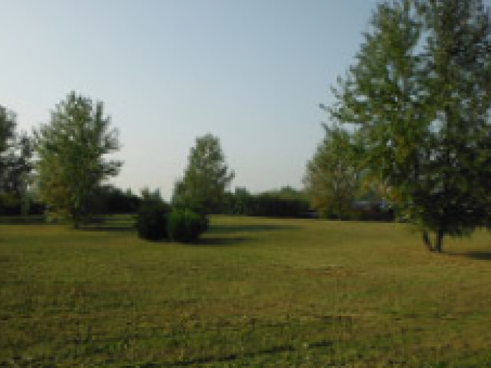 Archisio - Verde Acqua - Progetto Realizzazione parchi e giardini