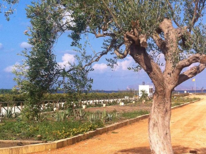 Archisio - N38 Laboratorio Di Architettura - Progetto Giardino edon