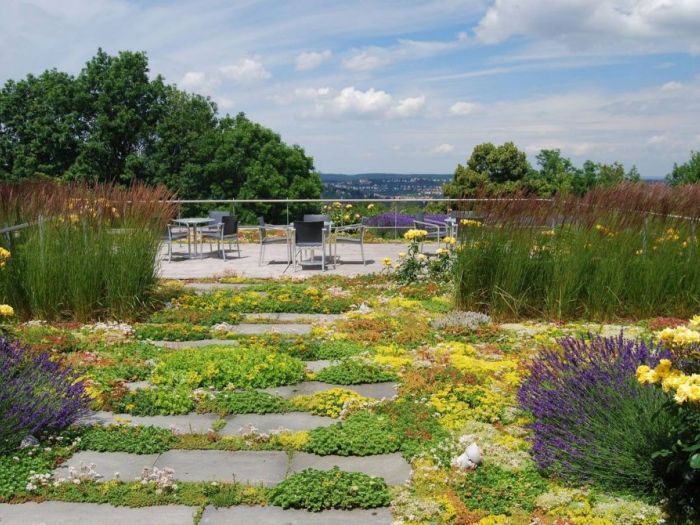 Archisio - Vivai Cantatore - Progetto Piante