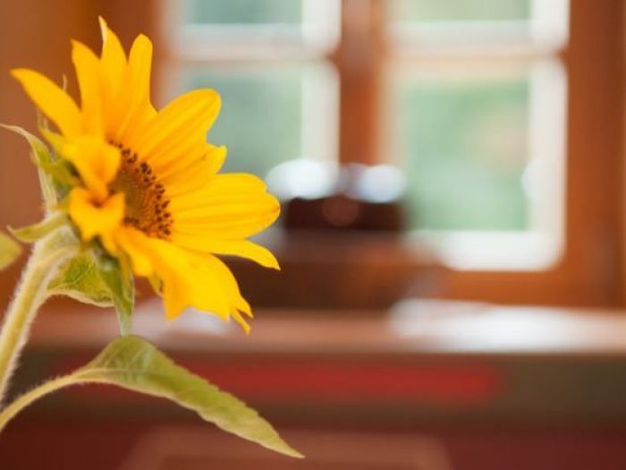 Archisio - Lucio Virzi Fotografo - Progetto Silentium rainstall