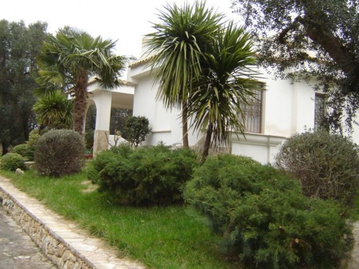 Archisio - Cosimo Mai - Progetto Progetti