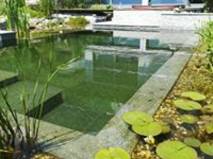 Archisio - Arqtropa Studio - Progetto Piscine naturali e vegetazione acquatica