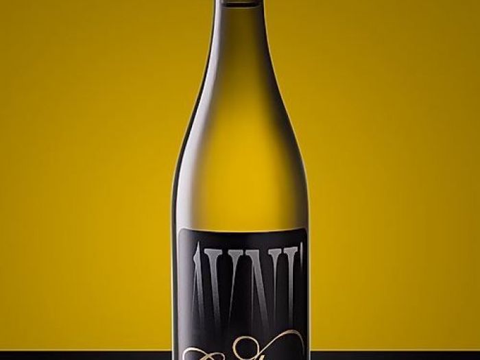 Archisio - Stefano Carniccio - Progetto Wine