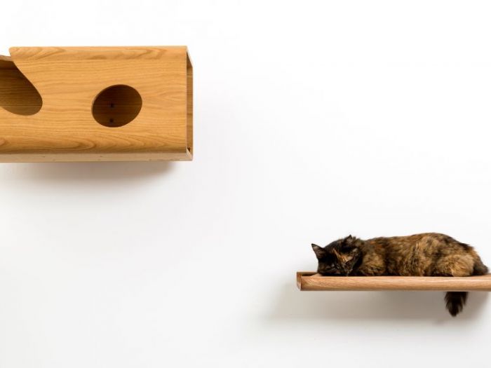 Archisio - Brandodesign - Progetto La mensola trono