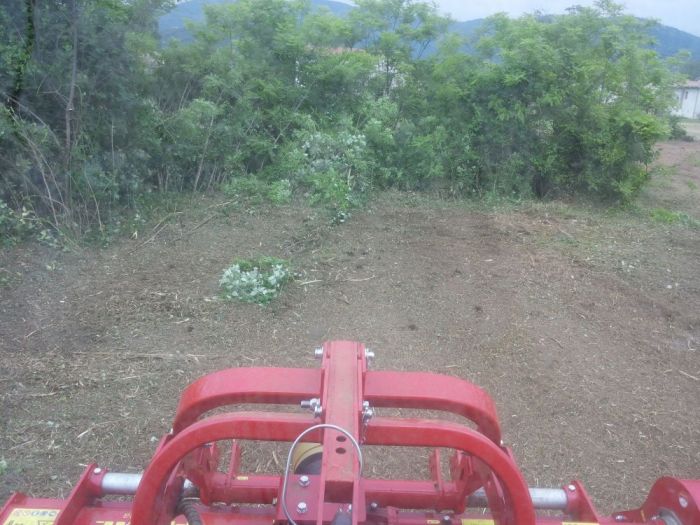 Archisio - Il Dottore Del Verde Di Bruno Barnaba - Progetto Trinciatura di aree incolte