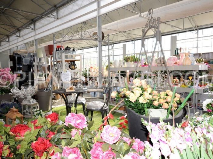 Archisio - Piante Macri - Progetto Il garden