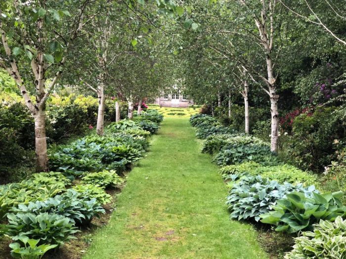 Archisio - Claudia Dibbe Piazza - Progetto Storica dellarte ed ingegnere agronomo Paesaggismo e home decor counselling