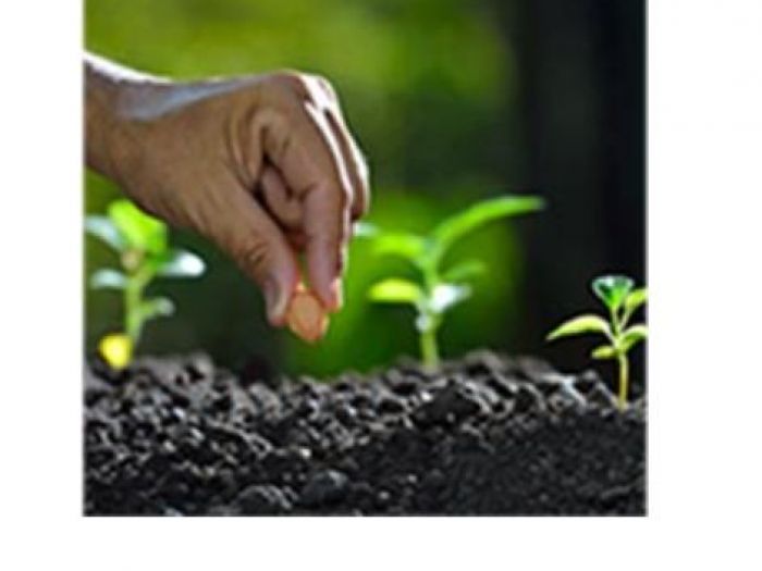 Archisio - Giardiniere Di Verdecchia Danilo - Progetto Semina prati