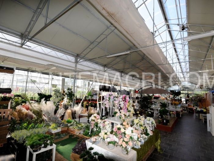 Archisio - Piante Macri - Progetto Il garden