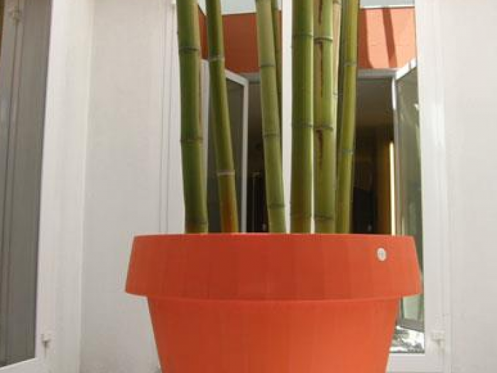 Archisio - Roberto Bertetti - Progetto Canavese golf country club