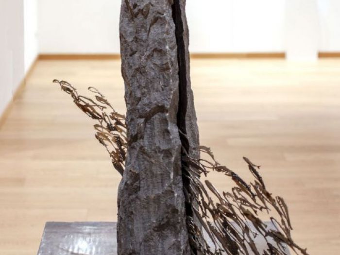 Archisio - Studio Cc - Progetto Il taglio