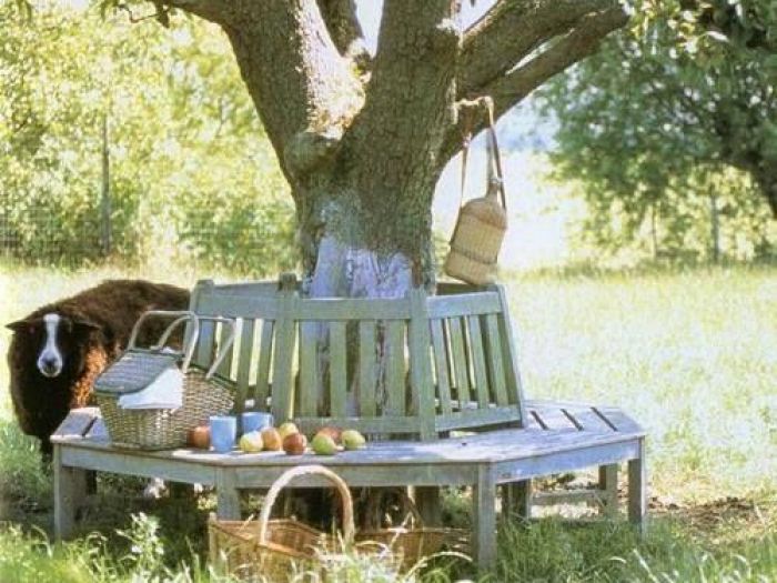 Archisio - Style Living - Progetto Strutture per alberi