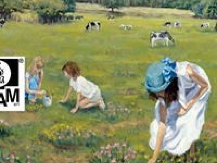 Archisio - Abilityart Larte Diversamente Abile - Progetto Alcune riproduzioni su tela incorniciate