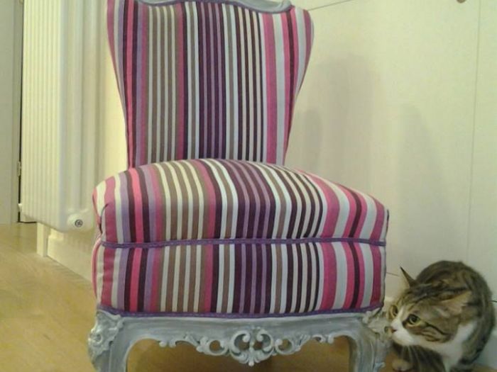 Archisio - Pazza Darte - Progetto Decorazione di mobili