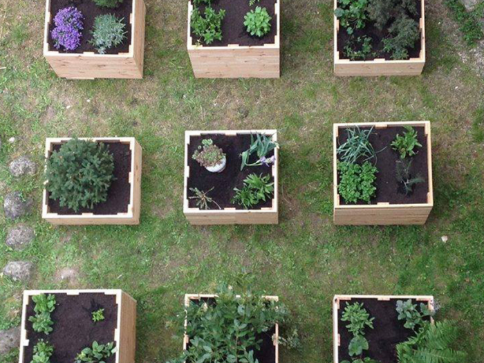 Archisio - Davide Stona - Progetto Installazione temporanea per hortus sanitatis