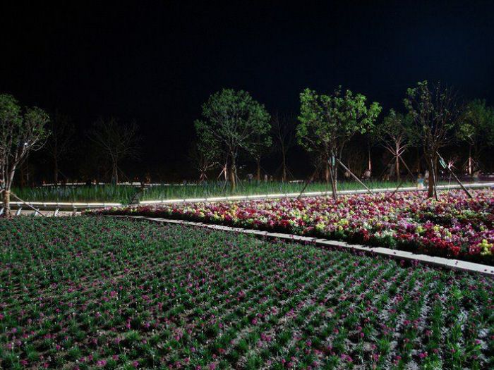 Archisio - Plasma Studio - Progetto Flowing gardens xian international horticultural expo