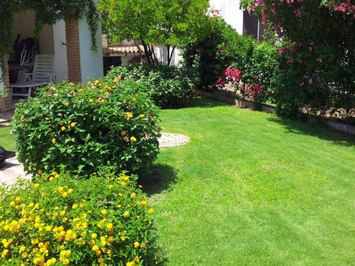 Archisio - Claudia Porcu - Progetto Antares