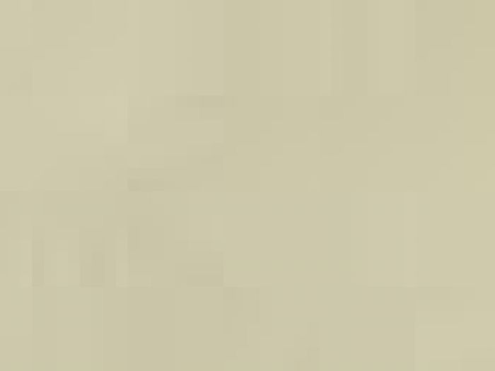 Archisio - Payanini The Stone Brand - Progetto Payanini