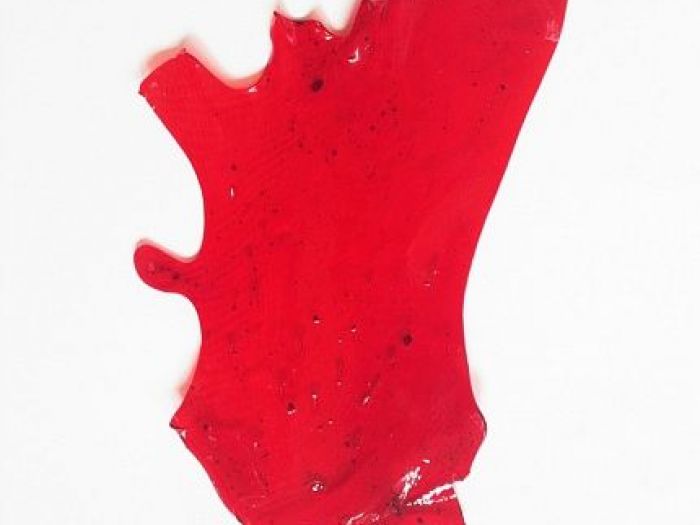 Archisio - Alev Studio8 - Progetto Fotografie darte