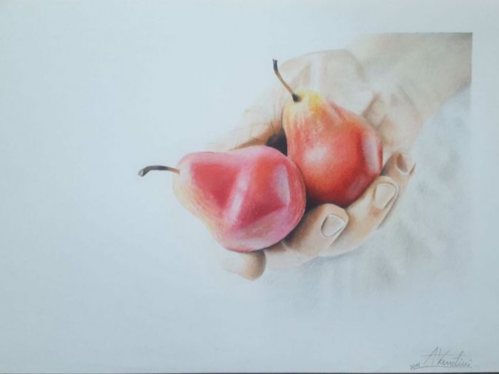 Archisio - Alessio Vandini - Progetto Portfolio