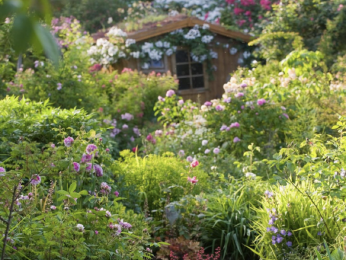 Archisio - Claudia Dibbe Piazza - Progetto Casa a porto ercole