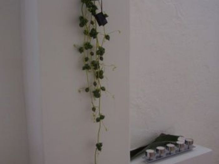 Archisio - Internamente - Progetto Officina de giorgio luzern-ch