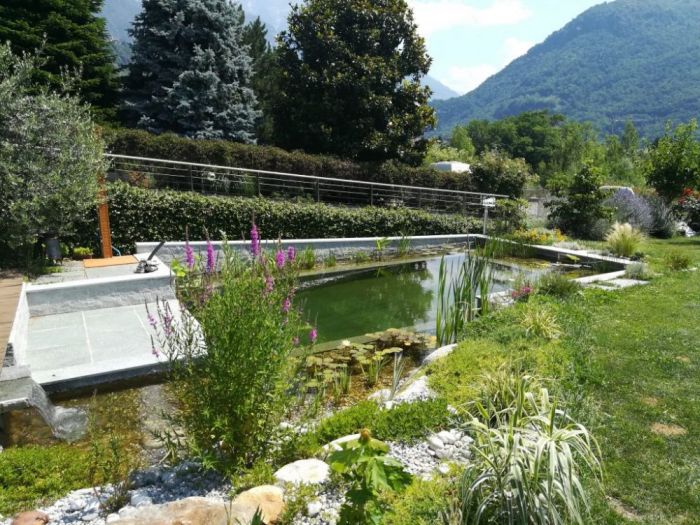 Archisio - Arqtropa Studio - Progetto Biopiscina