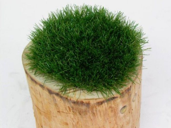 Archisio - Stefano Mazzuchetti - Progetto Sgabello tronq