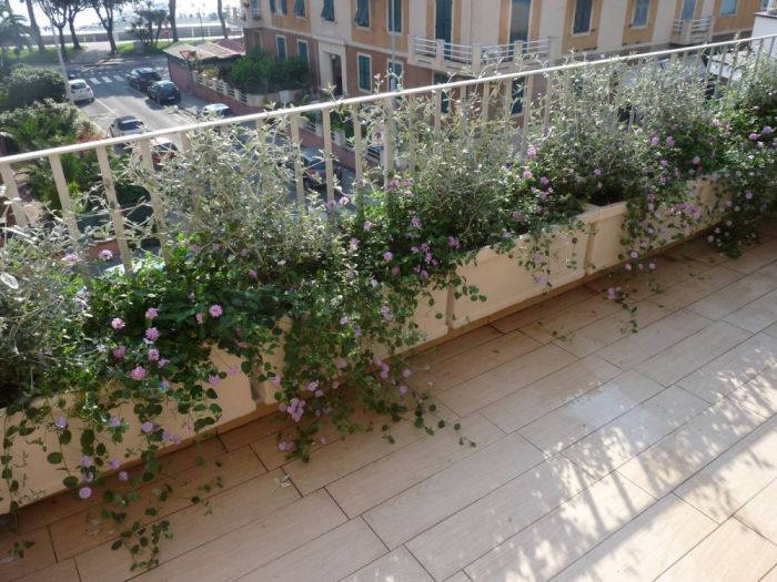 Archisio - Gardenstudio - Progetto Gardenstudio