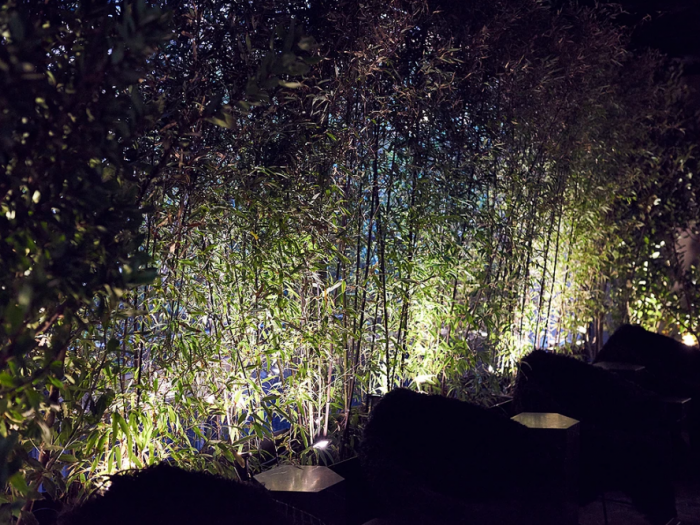 Archisio - Sos Piante - Progetto Showroom - san babila milano