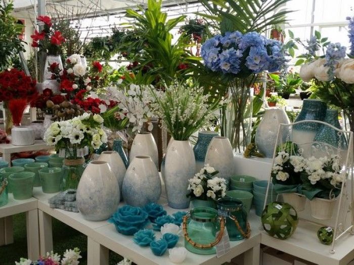 Archisio - Piante Macri - Progetto Il garden