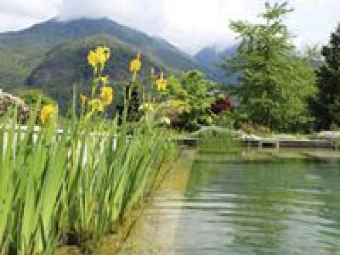 Archisio - Arqtropa Studio - Progetto Piscine naturali e vegetazione acquatica