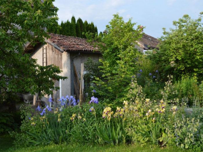 Archisio - Luca Docci - Progetto Giardino naturale