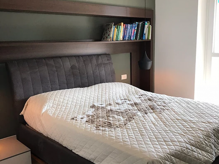 Archisio - Cubo Home - Progetto Corso peschiera 2018