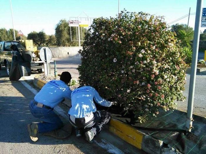 Archisio - Mp Impianti - Progetto Impianti elettrici sul suolo pubblico