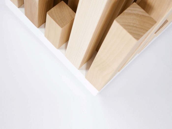 Archisio - Cristian Toaldo - Progetto Design