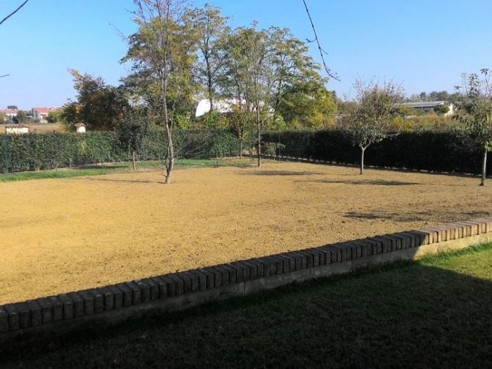 Archisio - Claudio Raiteri Verde Giardino - Progetto Irrigazione rigenerazione pratorigenerazione pratotree climbingisolamento solai