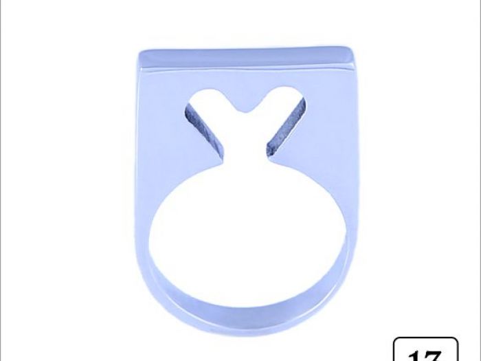 Archisio - Pierfrancesco Arnone - Progetto I miti anelli