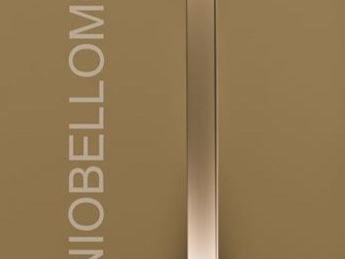 Archisio - Antonio Bellomo Designer - Progetto Area 462