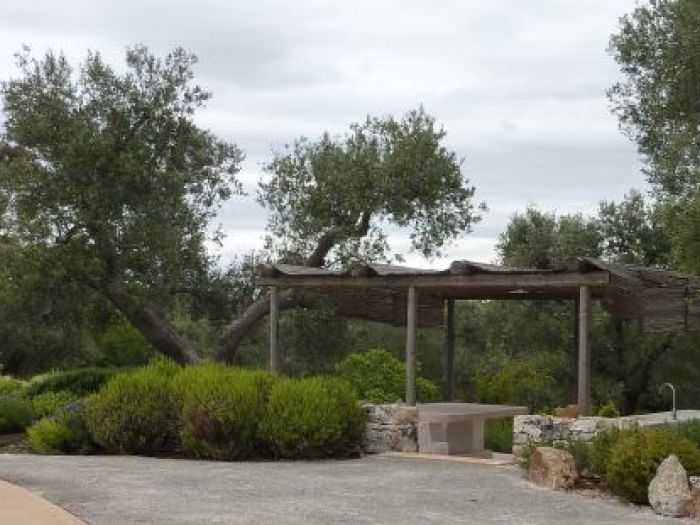 Archisio - Elisabetta Fermani - Progetto Giardino privato