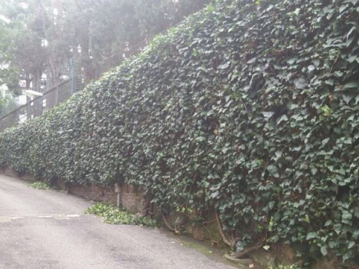 Archisio - Laandcr Giardinaggio - Progetto Derattizzazione